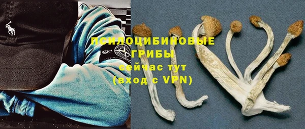ПСИЛОЦИБИНОВЫЕ ГРИБЫ Алексин