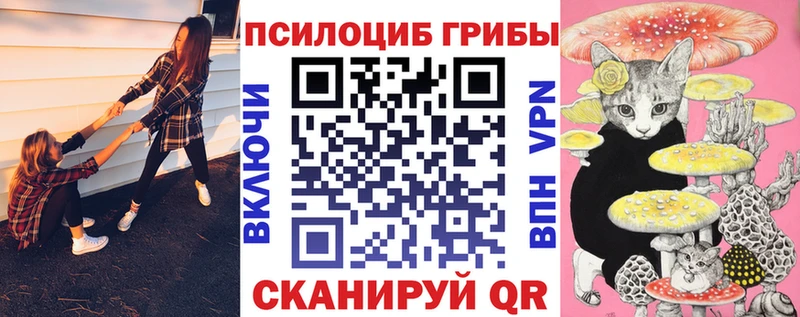 магазин продажи   Данилов  Псилоцибиновые грибы Psilocybe 