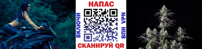 Каннабис марихуана Данилов